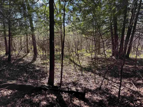 Lot 230 Kings Way, Gladwin MI 48624 photo 3