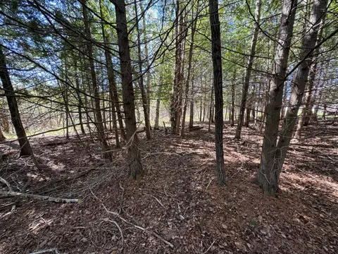 Lot 230 Kings Way, Gladwin MI 48624 photo 4