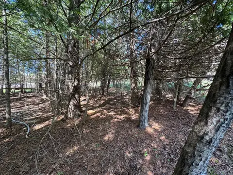 Lot 230 Kings Way, Gladwin MI 48624 photo 5