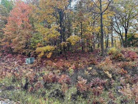 Lot # 5 N Circle E Drive, Farwell MI 48622 photo 3