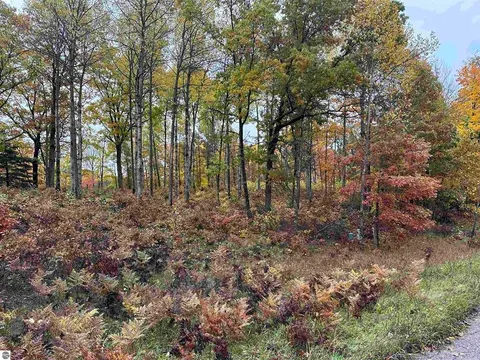 Lot # 5 N Circle E Drive, Farwell MI 48622 photo 4