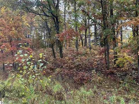Lot #6 N Circle E Drive, Farwell MI 48622 photo 3