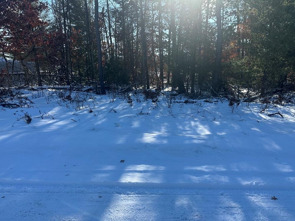 Lot 8 Edwin Road, Harrison MI 48625 photo 1
