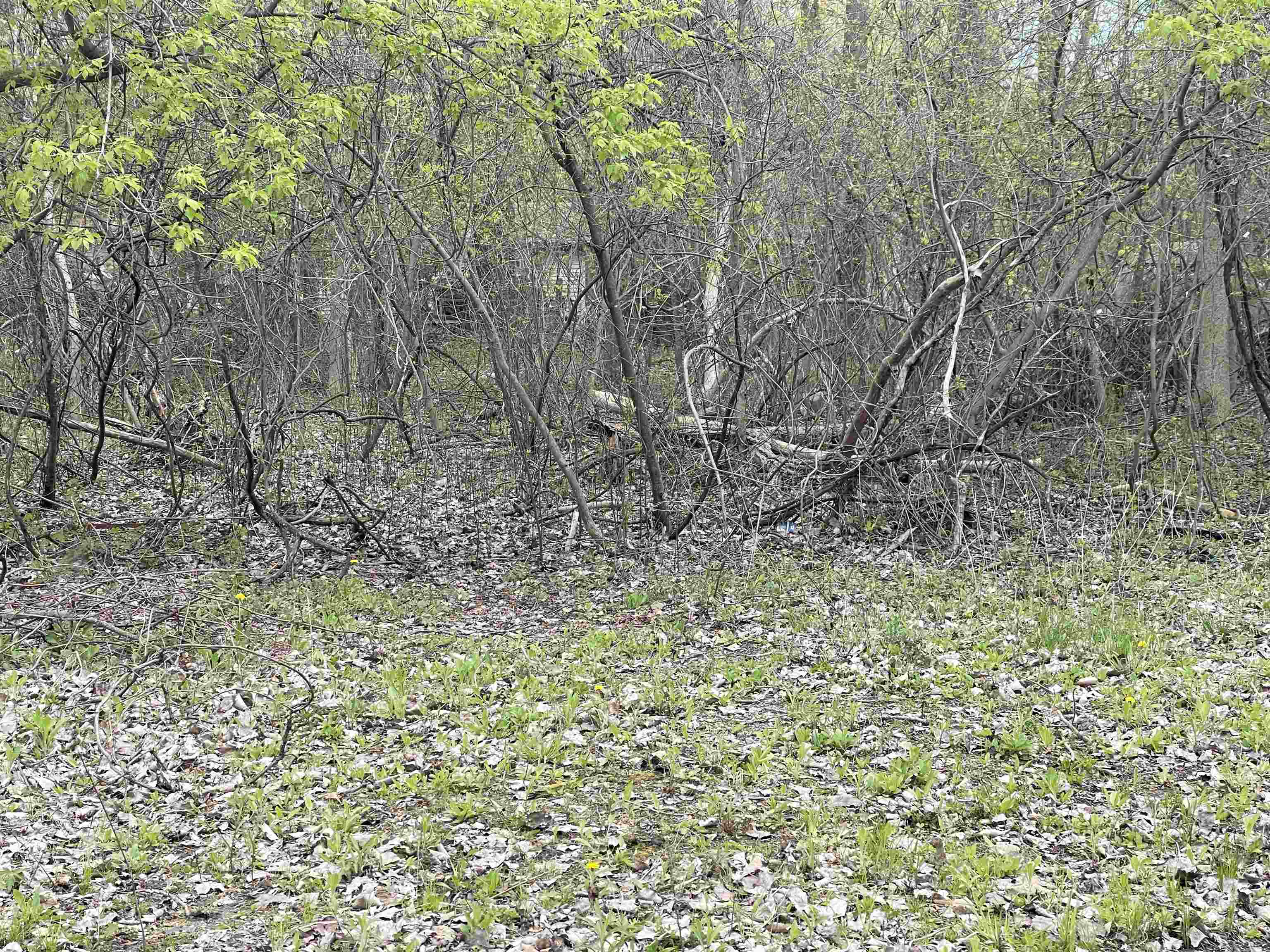 4300 Zimmer Road, Bay City MI 48706 photo 1