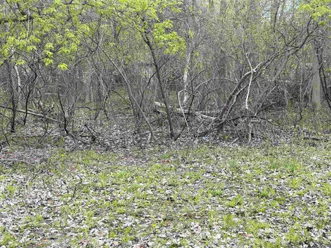 4300 Zimmer Road, Bay City MI 48706 photo 1