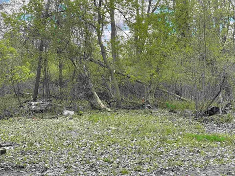 4300 Zimmer Road, Bay City MI 48706 photo 5