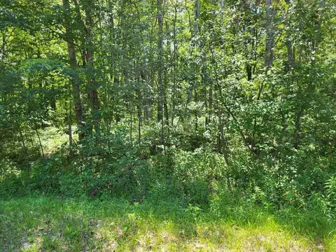 Lot 69 Pineway Drive, Gladwin MI 48624 photo 2