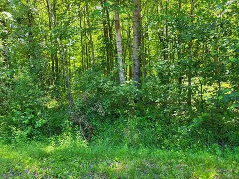 Lot 69 Pineway Drive, Gladwin MI 48624 photo 3