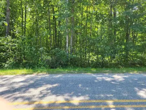 Lot 69 Pineway Drive, Gladwin MI 48624 photo 4