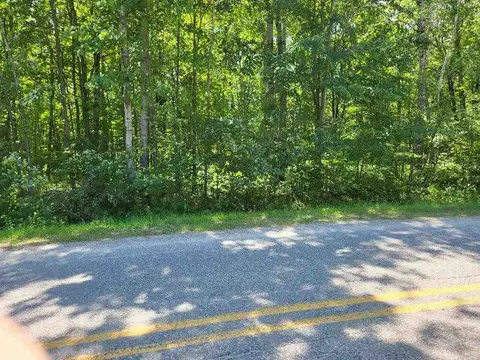 Lot 69 Pineway Drive, Gladwin MI 48624 photo 5