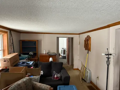 3493 Pine River Road, Standish MI 48658 photo 5