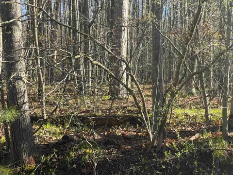 Lot # 40 Squirrel Run Road, Farwell MI 48622 photo 5