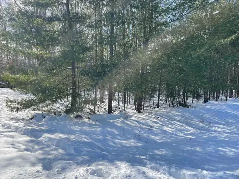 Whitetail Drive, Alger MI 48610 photo 1