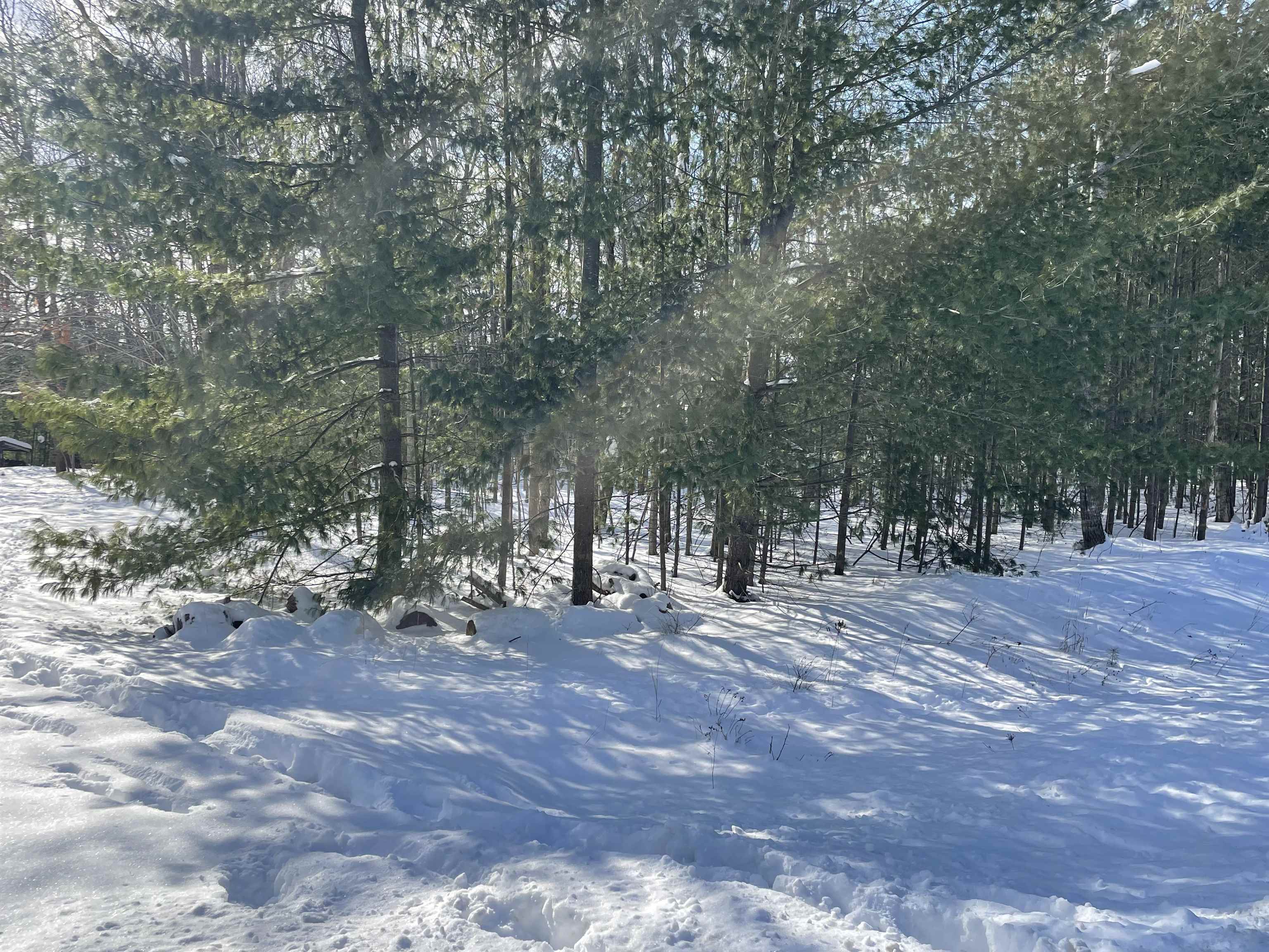 Whitetail Drive, Alger MI 48610 photo 1