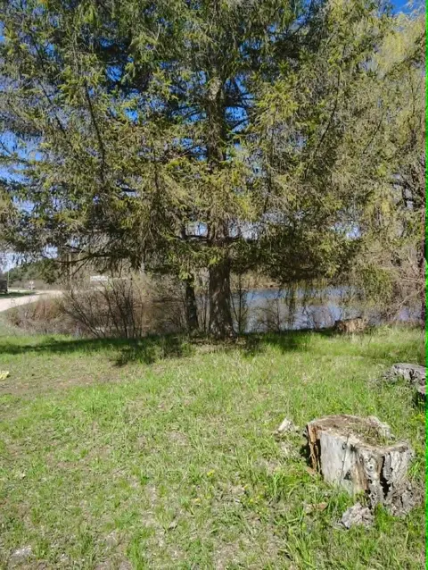 2742 Parkway Court, Gladwin MI 48624 photo 4