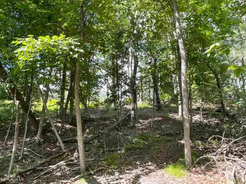 0 S Forest Lake Drive, Alger MI 48610 photo 4