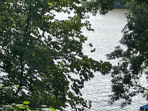 0 S Forest Lake Drive, Alger MI 48610 photo 5