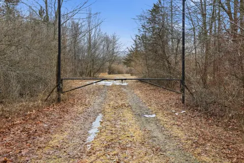 VL S Chapin Road, Elsie MI 48831 photo 2