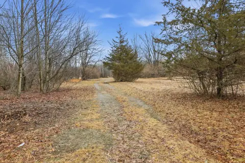 VL S Chapin Road, Elsie MI 48831 photo 3