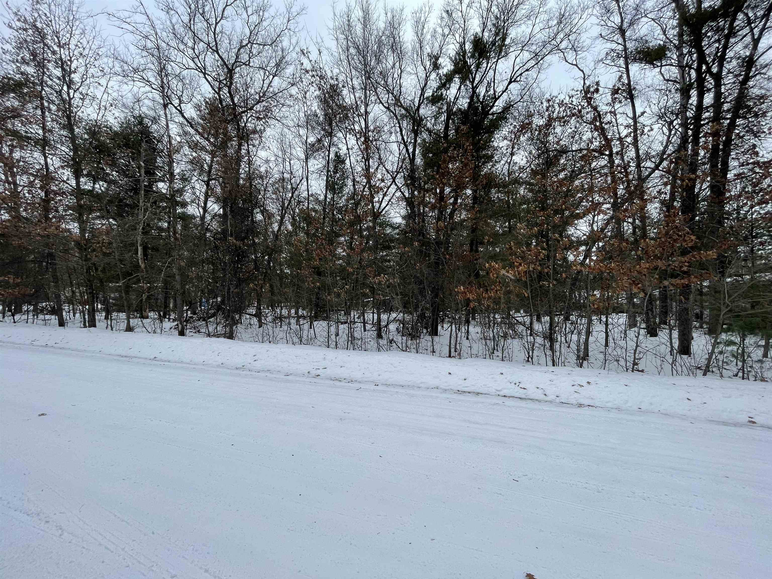VL Whitetail Drive listing photo