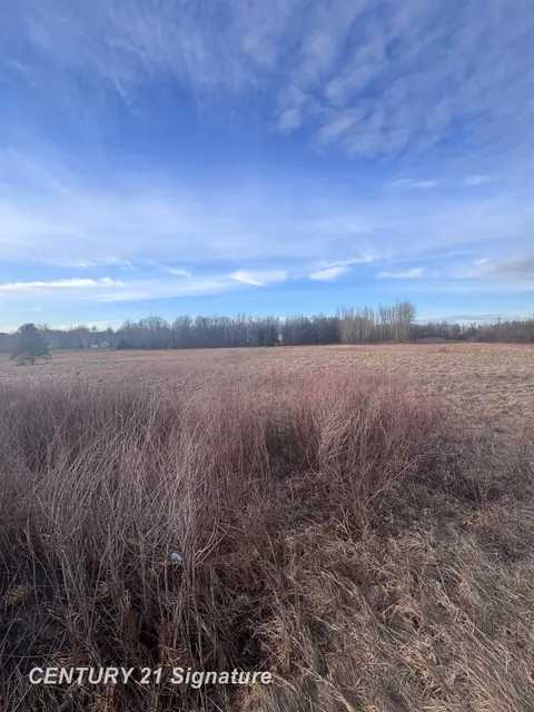 V/L E Hubbard Road, Midland MI 48642 photo 2