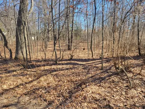 Lot 34 Seelinger Drive, Harrison MI 48625 photo 2