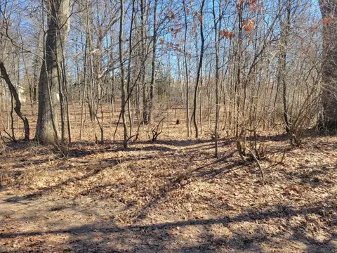 Lot 34 Seelinger Drive, Harrison MI 48625 photo 3