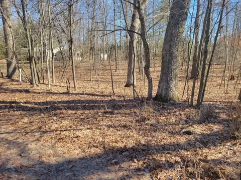 Lot 34 Seelinger Drive, Harrison MI 48625 photo 4