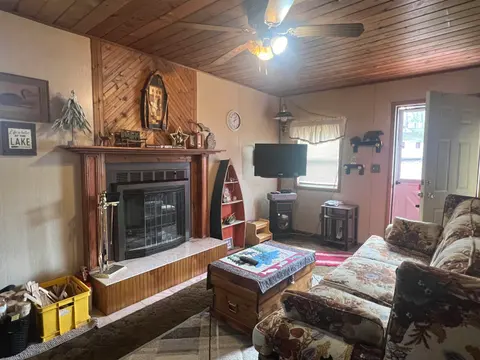 917 Oak Drive, Lake MI 48632 photo 3