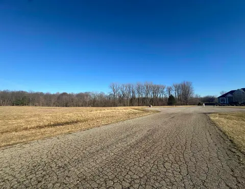 VL Alexander Lane, Vassar MI 48768 photo 4