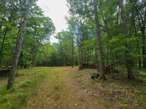 4537 Pine Run Road, Farwell MI 48622 photo 2