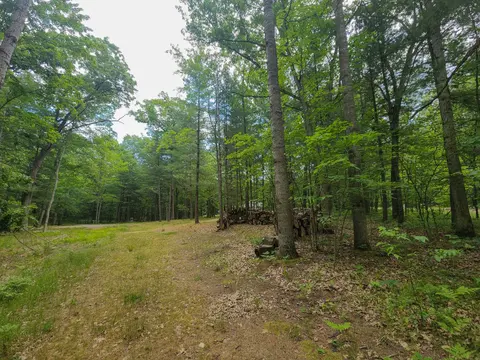 4537 Pine Run Road, Farwell MI 48622 photo 3