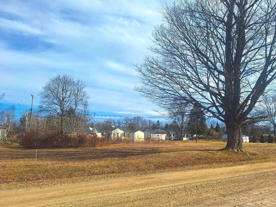Lots 249-250 Blue Water Boulevard, Lexington MI 48450 photo 1