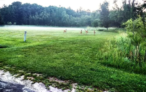 Lot 48 Appleby Court, Gladwin MI 48624 photo 4