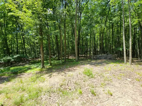 5682 Maple Drive, Farwell MI 48622 photo 5