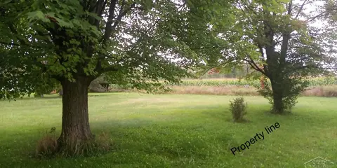 0 Simons Street, Coleman MI 48618 photo 2