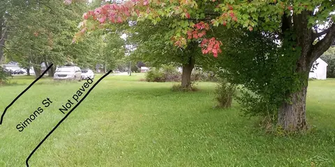 0 Simons Street, Coleman MI 48618 photo 4