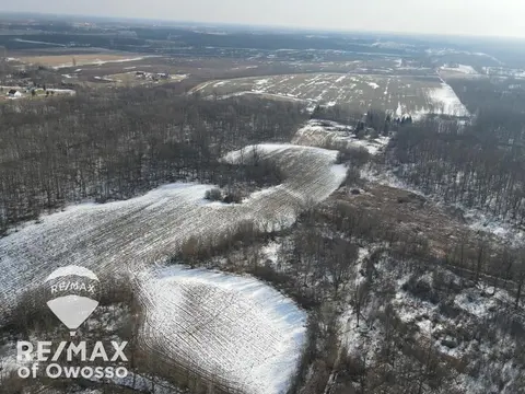 Lovejoy Road, Perry MI 48872 photo 2
