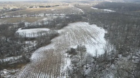 Lovejoy Road, Perry MI 48872 photo 3
