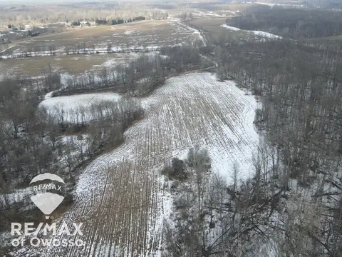 Lovejoy Road, Perry MI 48872 photo 4