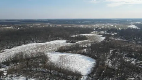Lovejoy Road, Perry MI 48872 photo 5