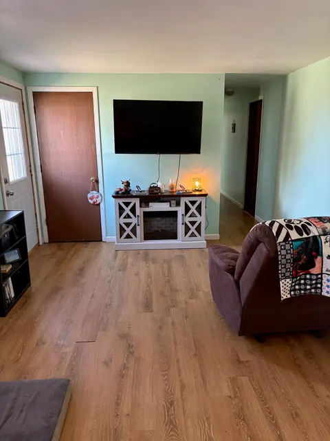 1534 Grummett Street, Minden City MI 48456 photo 2