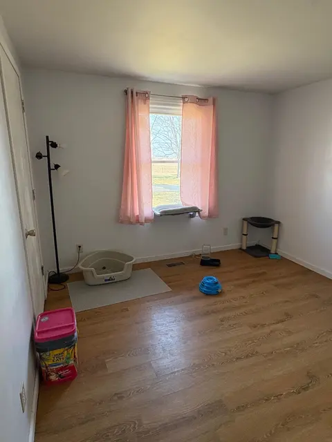 1534 Grummett Street, Minden City MI 48456 photo 5