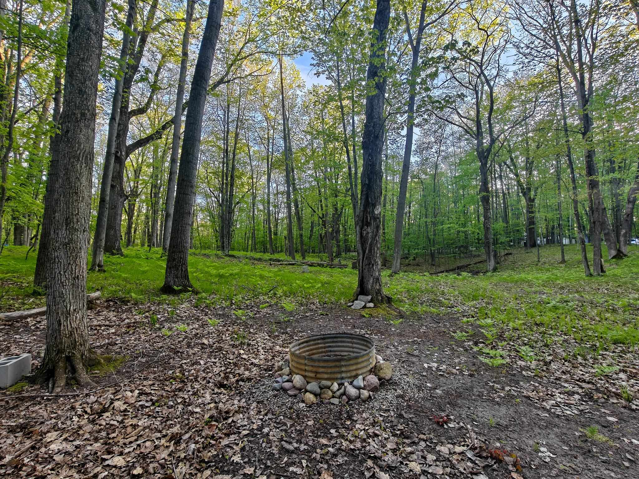 5899 Elm Run Run, Farwell MI 48622 photo 1