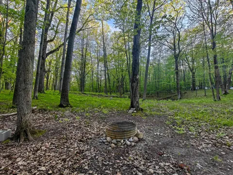 5899 Elm Run Run, Farwell MI 48622 photo 1