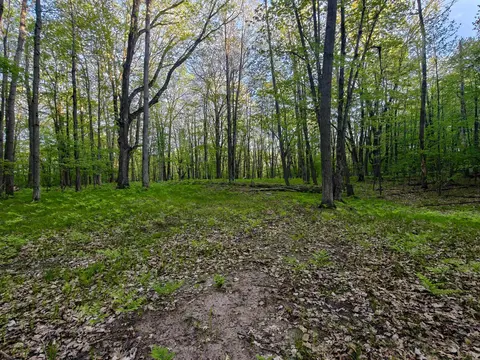 5899 Elm Run Run, Farwell MI 48622 photo 2