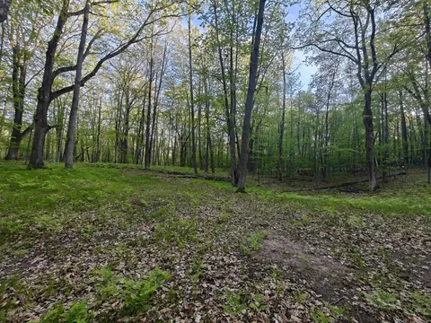 5899 Elm Run Run, Farwell MI 48622 photo 3