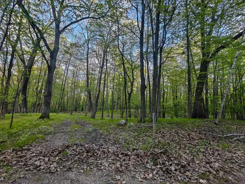 5899 Elm Run Run, Farwell MI 48622 photo 4