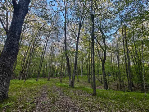 5899 Elm Run Run, Farwell MI 48622 photo 5