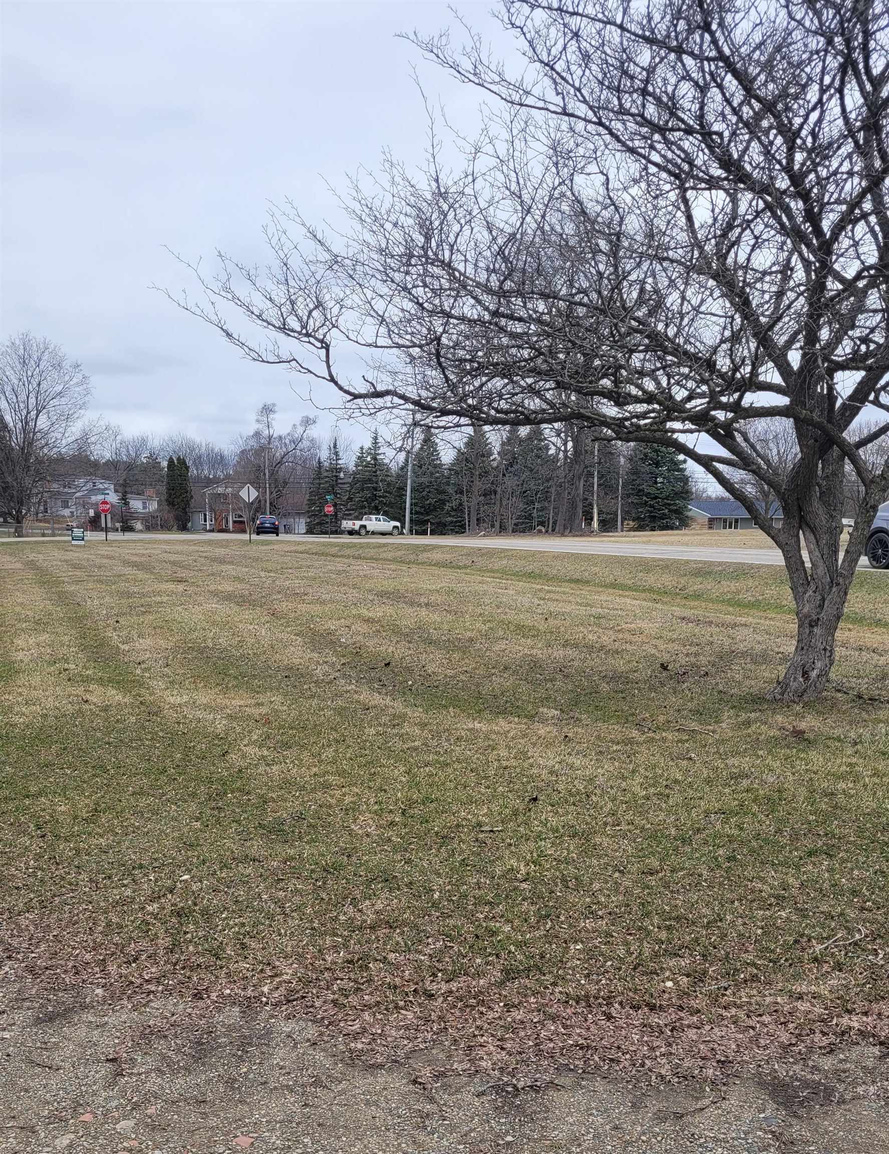 0 Hintz Road, Owosso MI 48867 photo 1